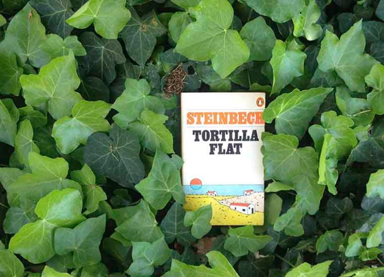 tortilla-flat-on-ivy-772x585-IMG-3174
